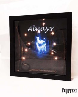 Quadro Luminoso Harry Potter